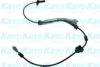 KAVO PARTS BAS-8004 Sensor, wheel speed